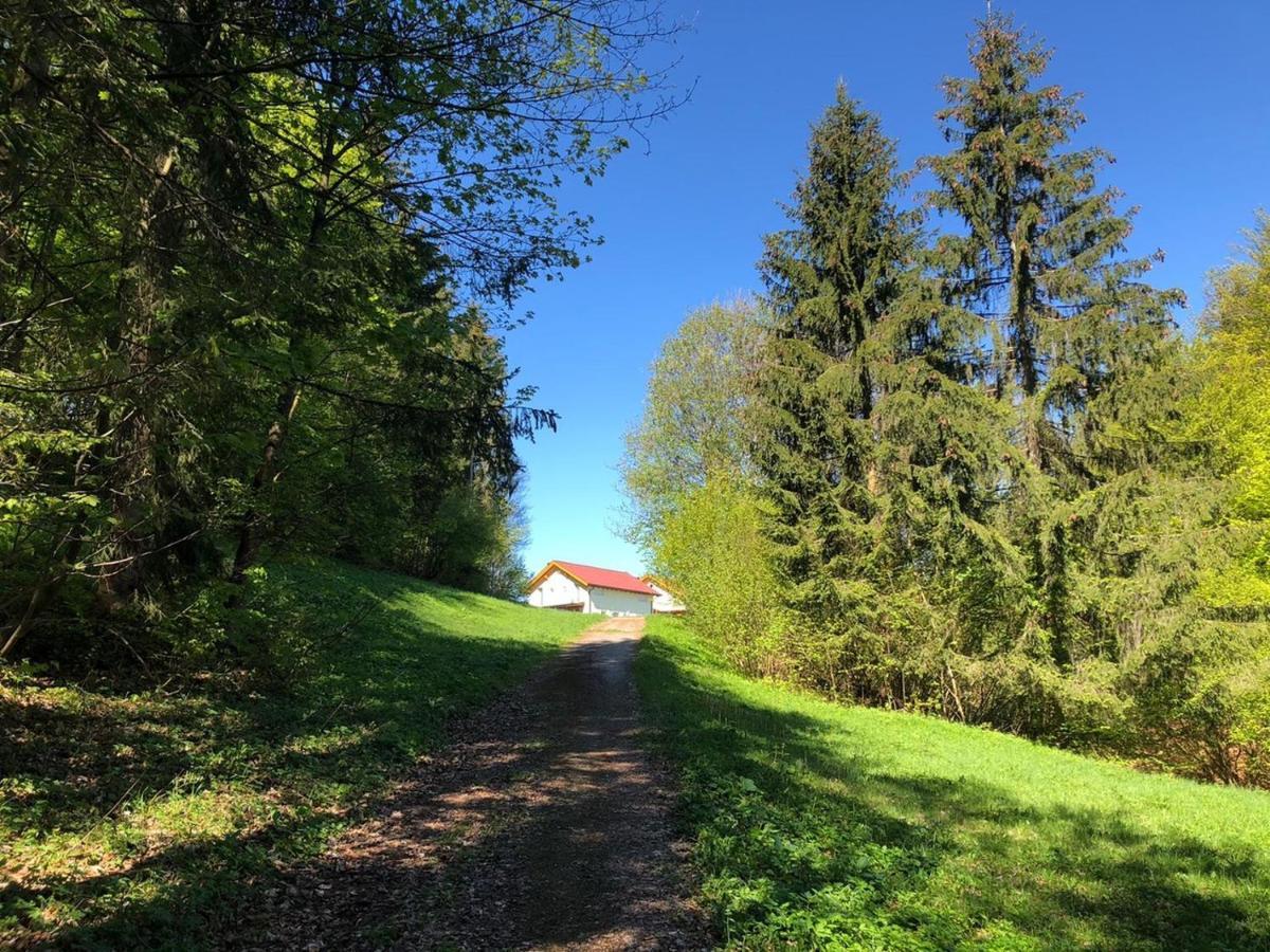 Oachkatzlschwoaf Villa Arnoldstein Exterior foto